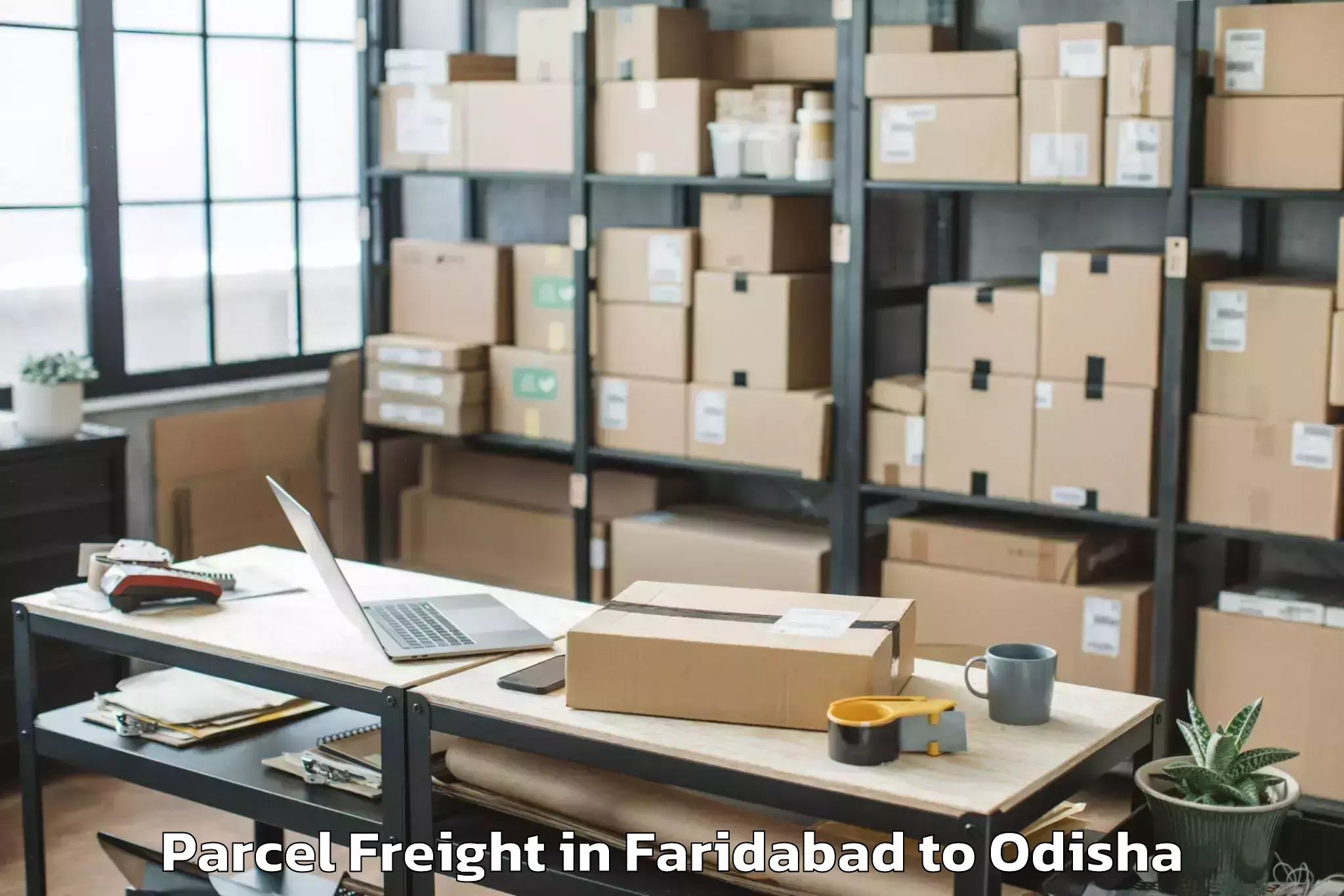 Easy Faridabad to Banaharapali Parcel Freight Booking